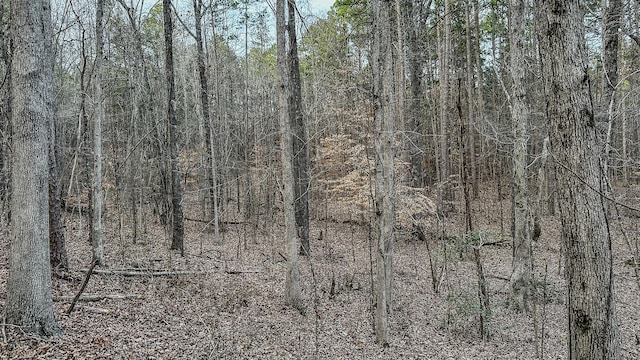 3677 Center Hill Rd, Finger, TN 38334 - photo 32