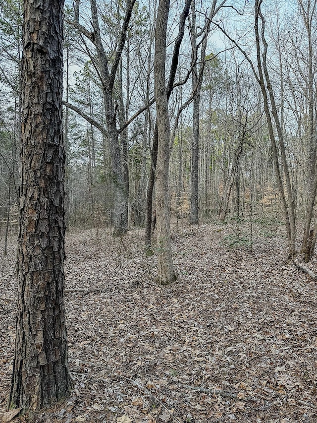 3677 Center Hill Rd, Finger, TN 38334 - photo 27