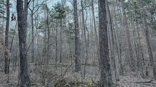 3677 Center Hill Rd, Finger, TN 38334 - photo 39