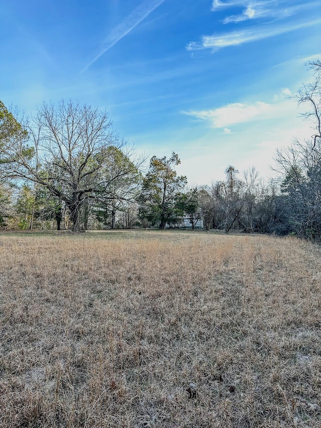 3677 Center Hill Rd, Finger, TN 38334 - photo 12