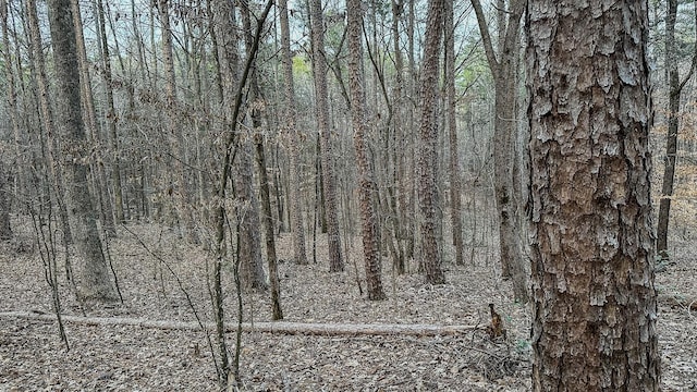 3677 Center Hill Rd, Finger, TN 38334 - photo 36