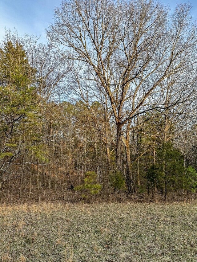 3677 Center Hill Rd, Finger, TN 38334 - photo 14
