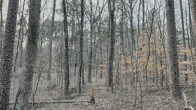 3677 Center Hill Rd, Finger, TN 38334 - photo 28
