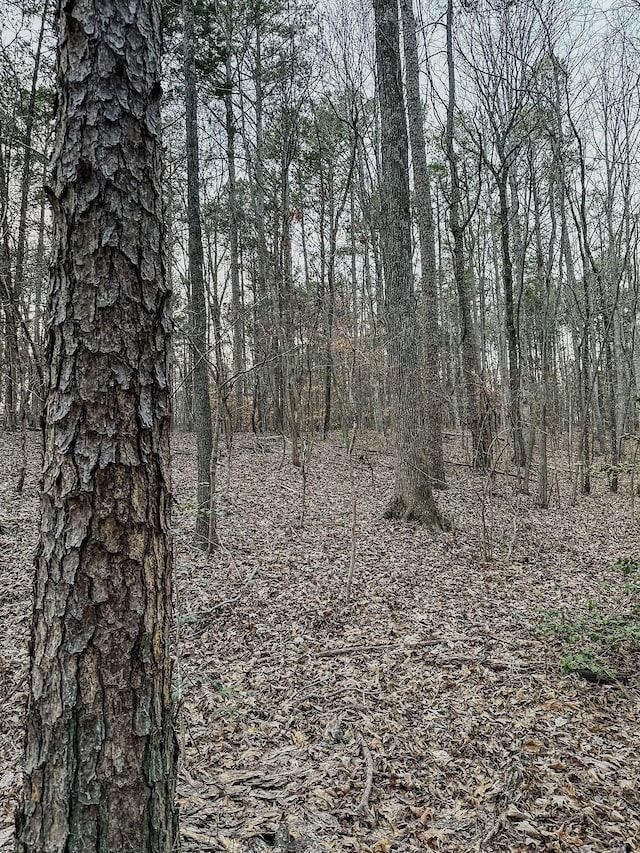 3677 Center Hill Rd, Finger, TN 38334 - photo 31