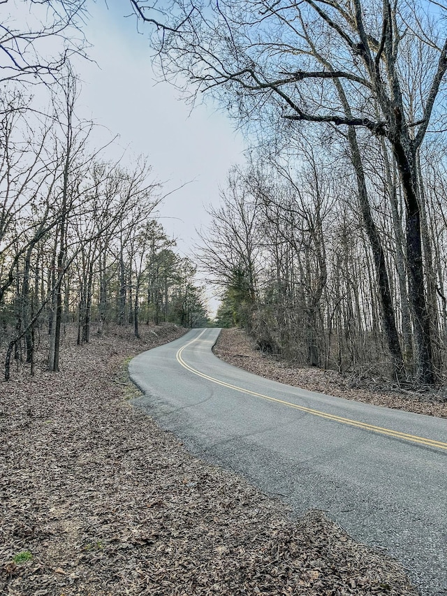 3677 Center Hill Rd, Finger, TN 38334 - photo 4