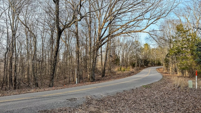3677 Center Hill Rd, Finger, TN 38334 - photo 1
