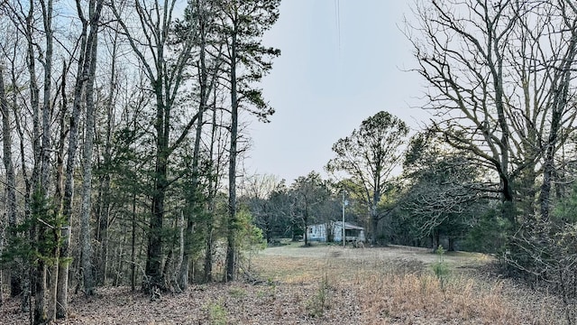 3677 Center Hill Rd, Finger, TN 38334 - photo 7