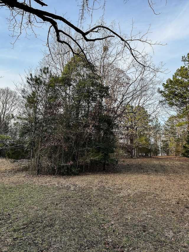 3677 Center Hill Rd, Finger, TN 38334 - photo 10
