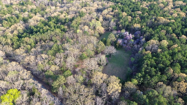3677 Center Hill Rd, Finger, TN 38334 - photo 43