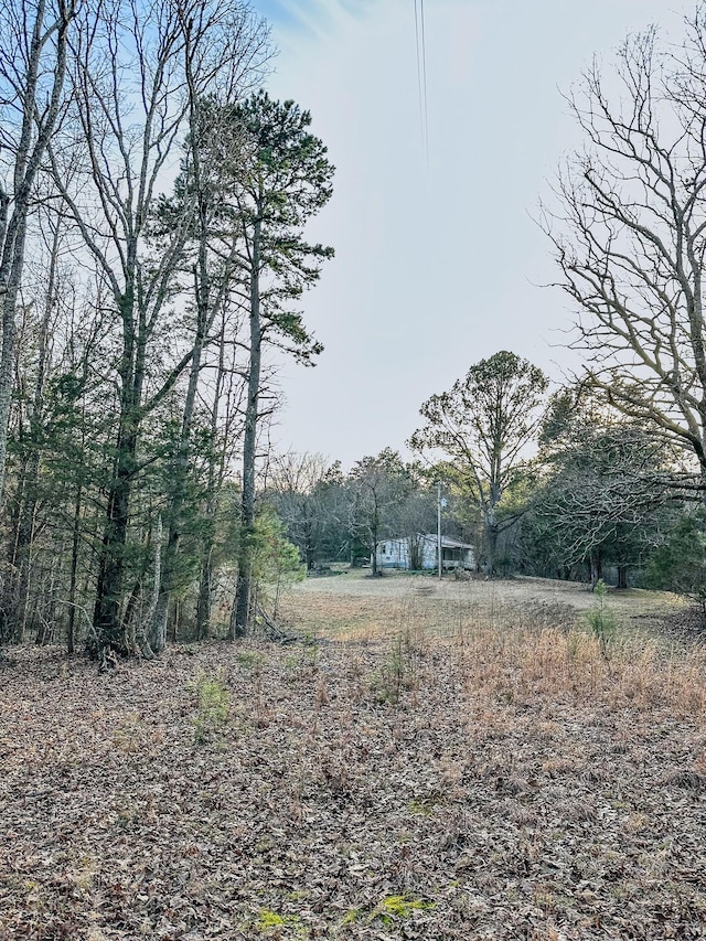 3677 Center Hill Rd, Finger, TN 38334 - photo 8