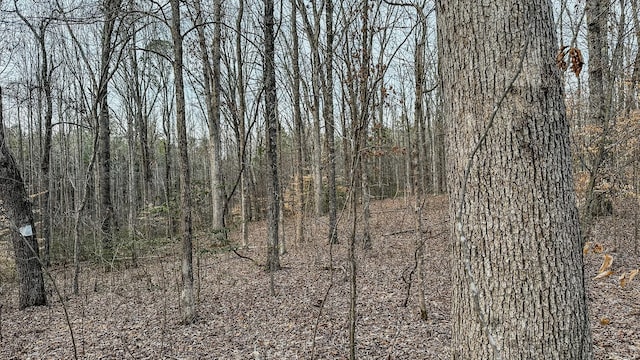 3677 Center Hill Rd, Finger, TN 38334 - photo 17