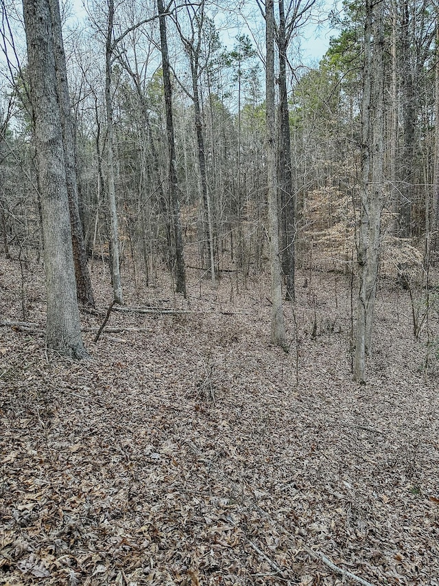 3677 Center Hill Rd, Finger, TN 38334 - photo 33
