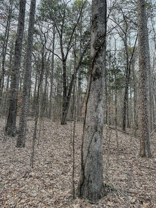 3677 Center Hill Rd, Finger, TN 38334 - photo 35