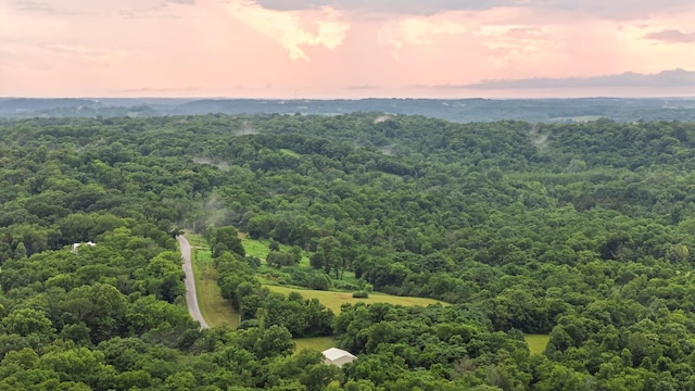 0 Stephens Rd, Columbia, TN 38401
