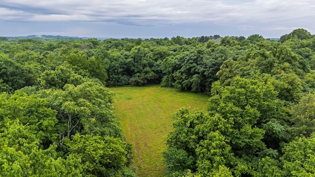 0 Stephens Rd, Columbia, TN 38401