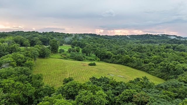 0 Stephens Rd, Columbia, TN 38401