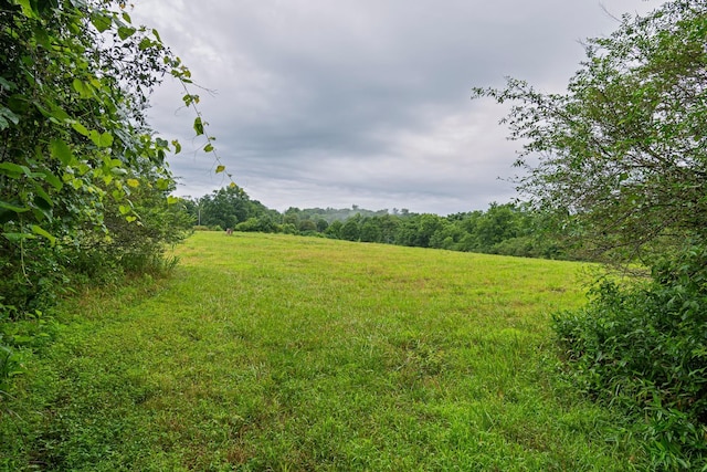 0 Stephens Rd, Columbia, TN 38401