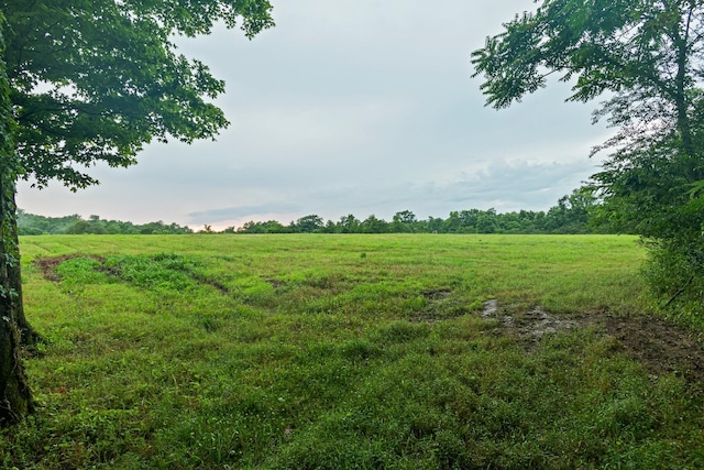 0 Stephens Rd, Columbia, TN 38401