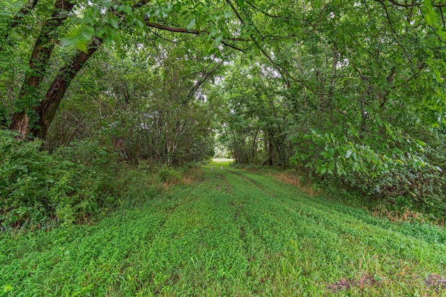 0 Stephens Rd, Columbia, TN 38401