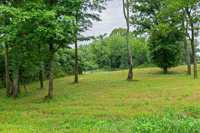 0 Stephens Rd, Columbia, TN 38401