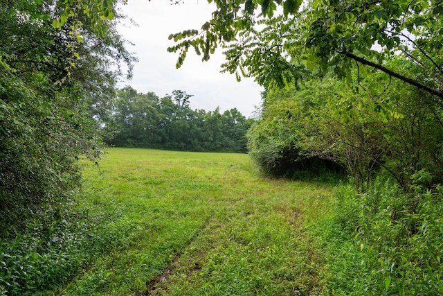 0 Stephens Rd, Columbia, TN 38401