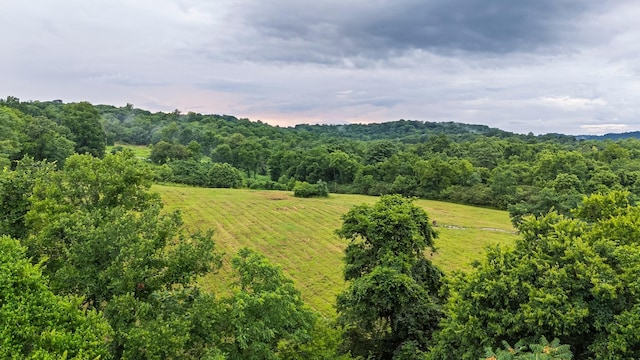 0 Stephens Rd, Columbia, TN 38401