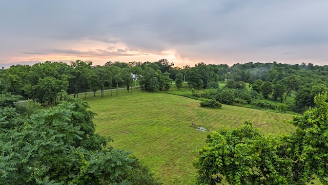 0 Stephens Rd, Columbia, TN 38401