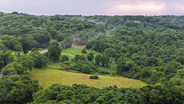 0 Stephens Rd, Columbia, TN 38401