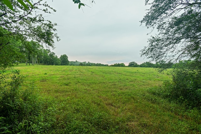 0 Stephens Rd, Columbia, TN 38401