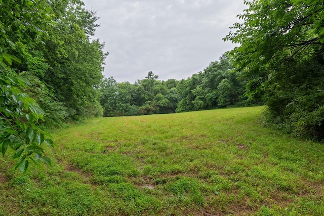 0 Stephens Rd, Columbia, TN 38401