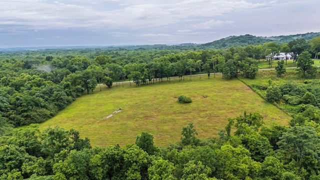 0 Stephens Rd, Columbia, TN 38401