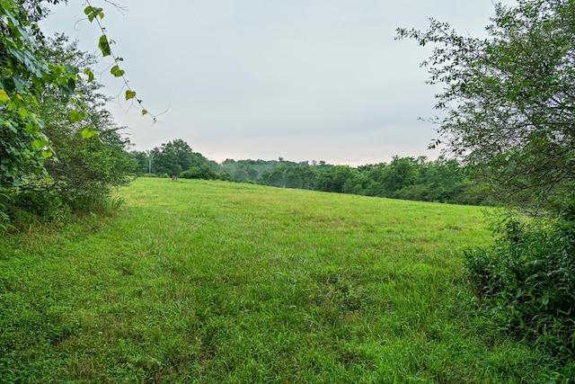 0 Stephens Rd, Columbia, TN 38401