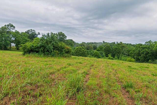 0 Stephens Rd, Columbia, TN 38401