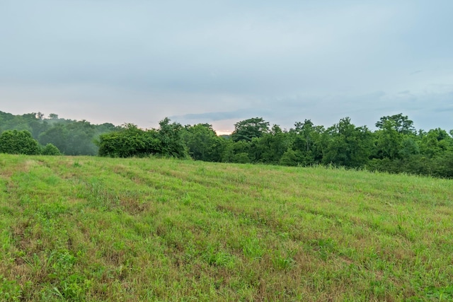 0 Stephens Rd, Columbia, TN 38401