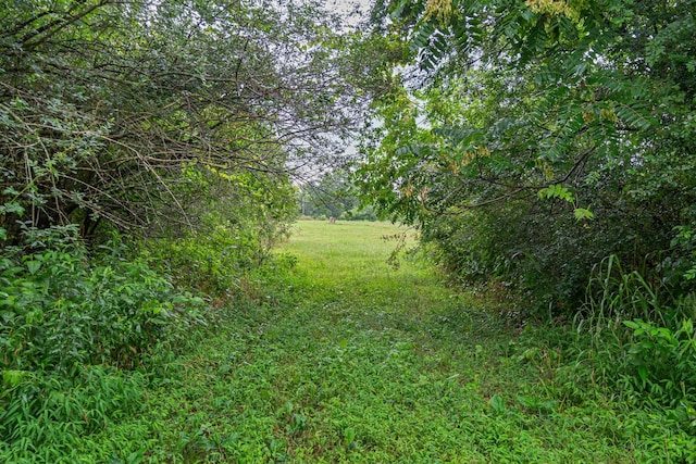 0 Stephens Rd, Columbia, TN 38401