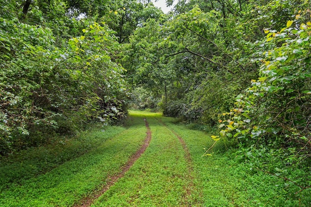0 Stephens Rd, Columbia, TN 38401