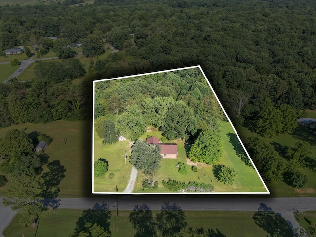 9127 Crestview Dr, Bon Aqua, TN 37025 - photo 32