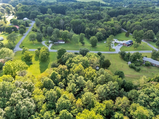 9127 Crestview Dr, Bon Aqua, TN 37025 - photo 29
