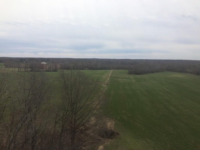 3855 Sulphur Creek Rd, Big Sandy, TN 38221 - photo 8