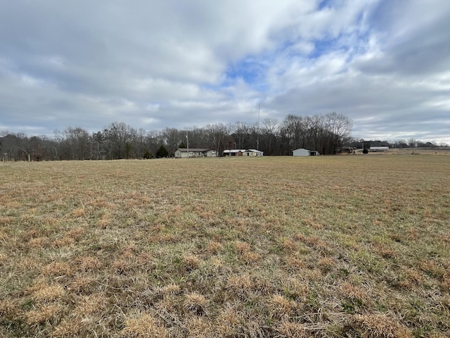 3855 Sulphur Creek Rd, Big Sandy, TN 38221 - photo 12