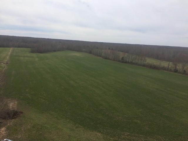 3855 Sulphur Creek Rd, Big Sandy, TN 38221 - photo 9