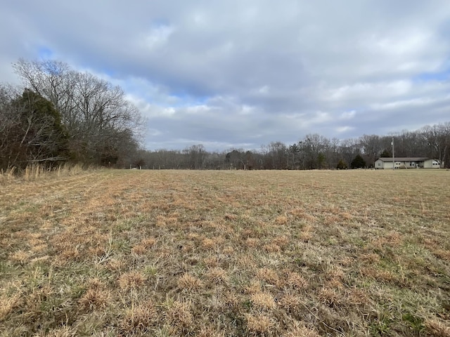 3855 Sulphur Creek Rd, Big Sandy, TN 38221 - photo 13