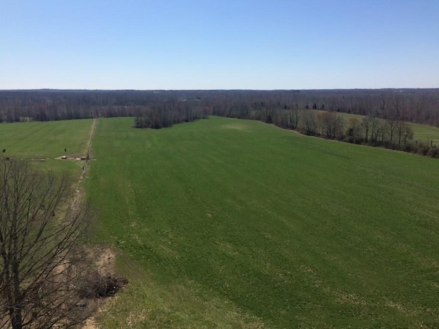 3855 Sulphur Creek Rd, Big Sandy, TN 38221 - photo 5