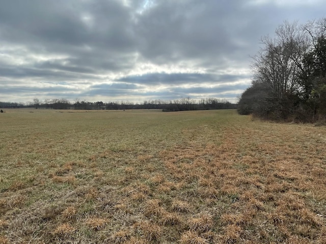 3855 Sulphur Creek Rd, Big Sandy, TN 38221 - photo 11