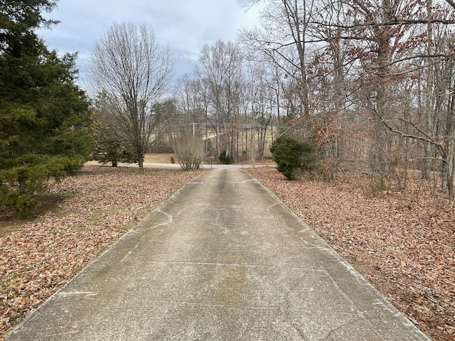 3855 Sulphur Creek Rd, Big Sandy, TN 38221 - photo 15