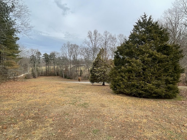 3855 Sulphur Creek Rd, Big Sandy, TN 38221 - photo 14