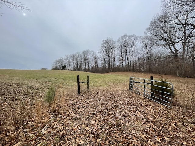 3855 Sulphur Creek Rd, Big Sandy, TN 38221 - photo 43