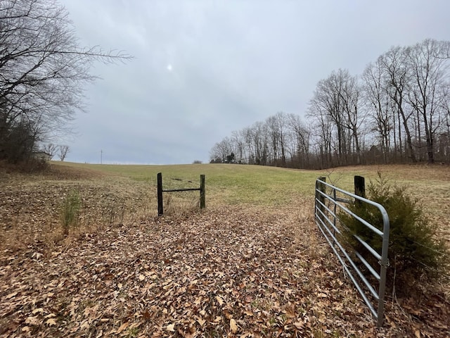 3855 Sulphur Creek Rd, Big Sandy, TN 38221 - photo 42