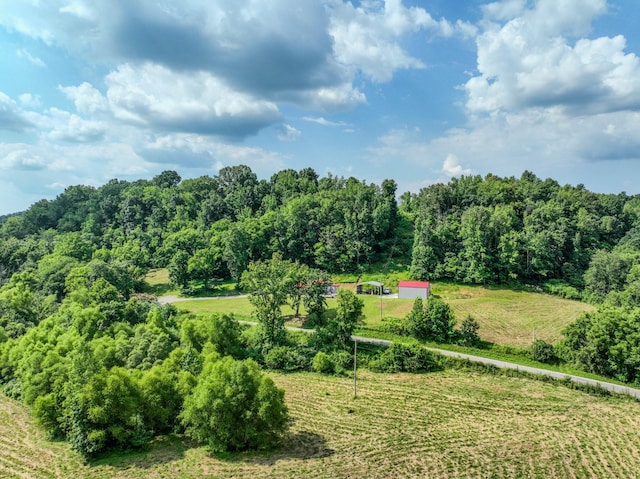 357 Providence Rd, Pulaski, TN 38478 - aerial view