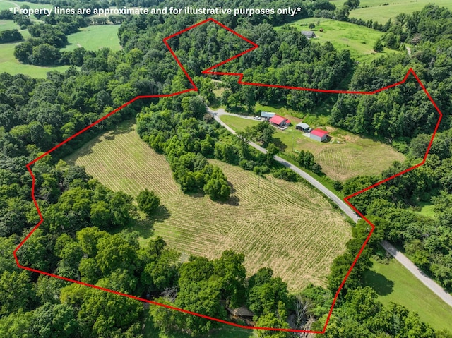 357 Providence Rd, Pulaski, TN 38478 - aerial view of sparsely populated area with property parcel outlined and rows of crops